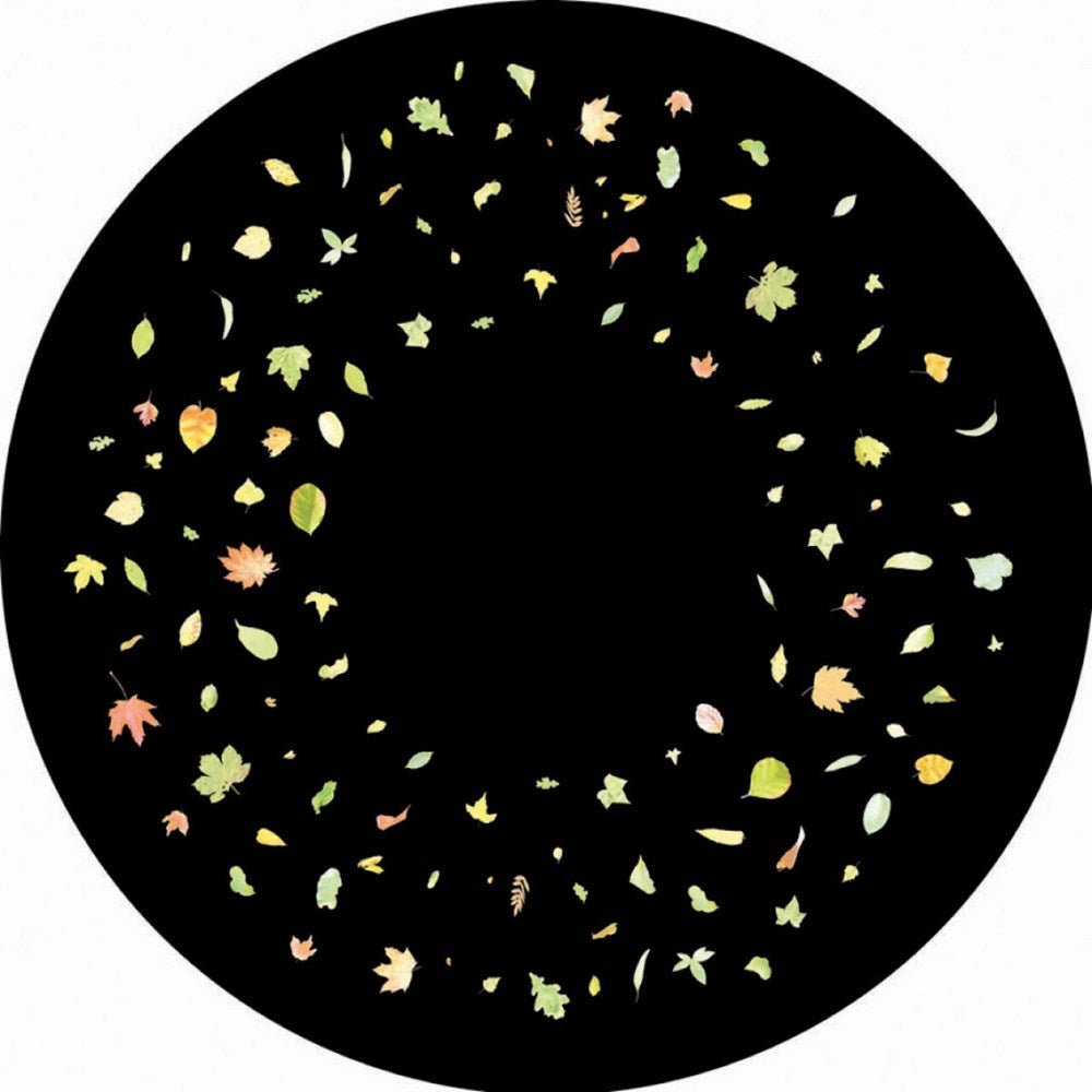 Coloured Leaves - ABC School Supplies