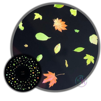 Coloured Leaves - ABC School Supplies
