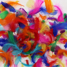 Crafty Bitz Exotic Feathers 10g - ABC School Supplies