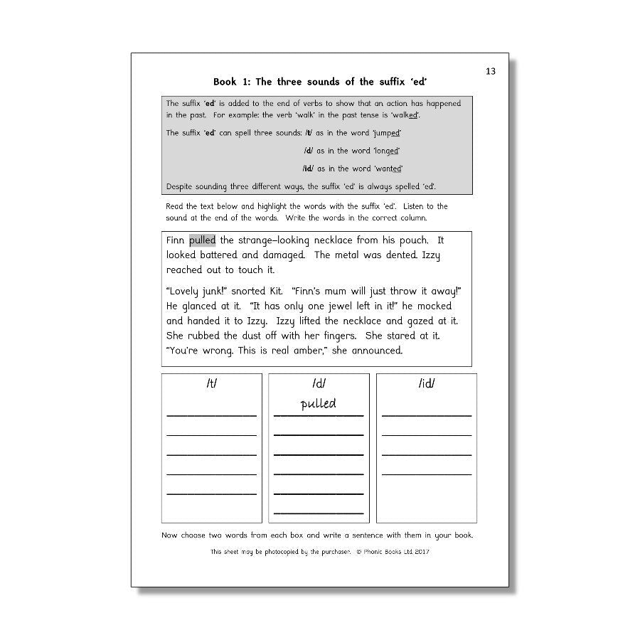 Dandelion Amber Guardians, Workbook - ABC School Supplies