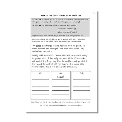 Dandelion Amber Guardians, Workbook - ABC School Supplies