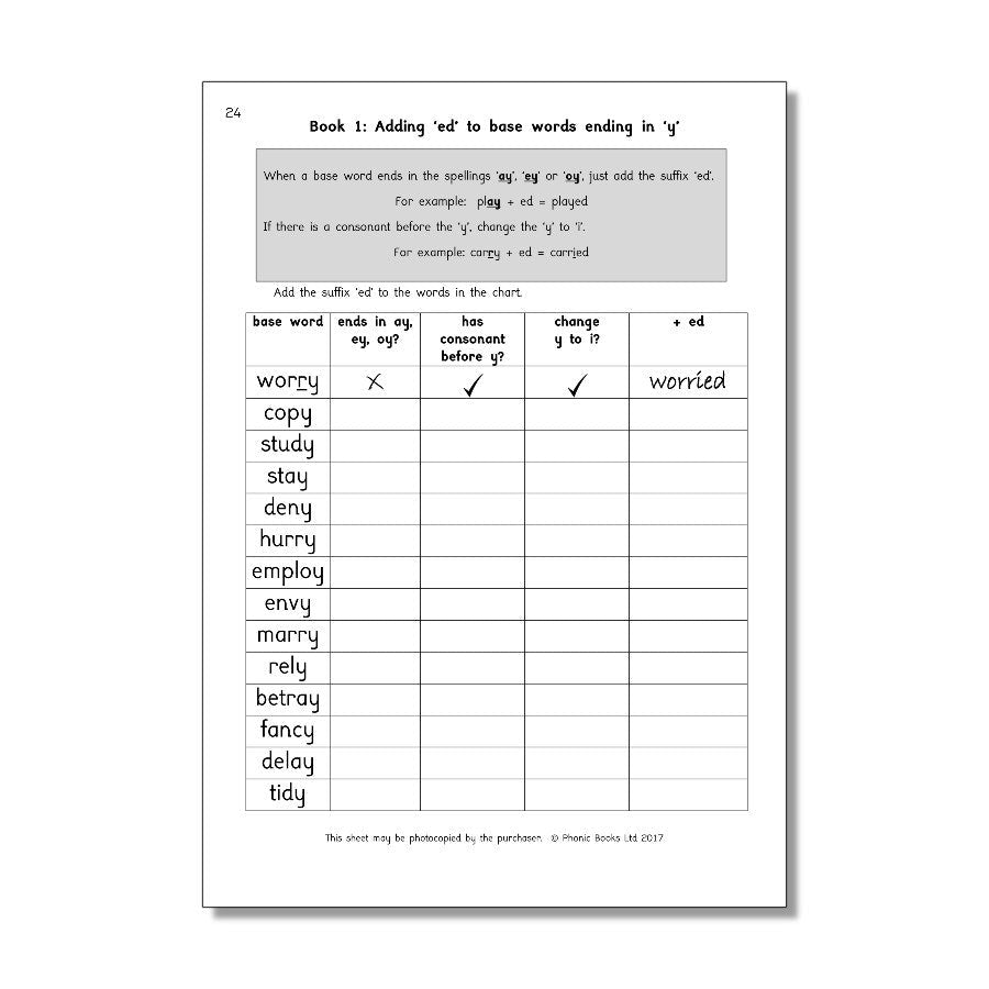 Dandelion Amber Guardians, Workbook - ABC School Supplies