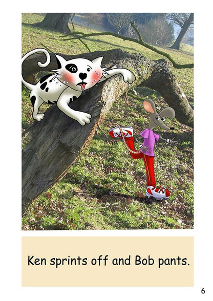 Dandelion Launchers Pack 3 (Sets 8 - 10) 12 Titles - ABC School Supplies