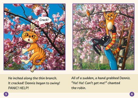 Dandelion Launchers Pack 5 (Sets 16 - 20) 10 Titles - ABC School Supplies