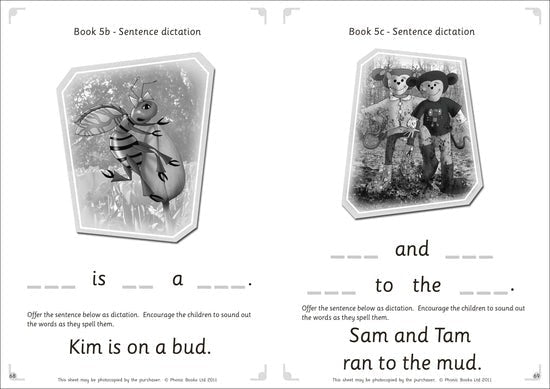 Dandelion Launchers, Reading And Writing Activities Units 4 - 7 - ABC School Supplies