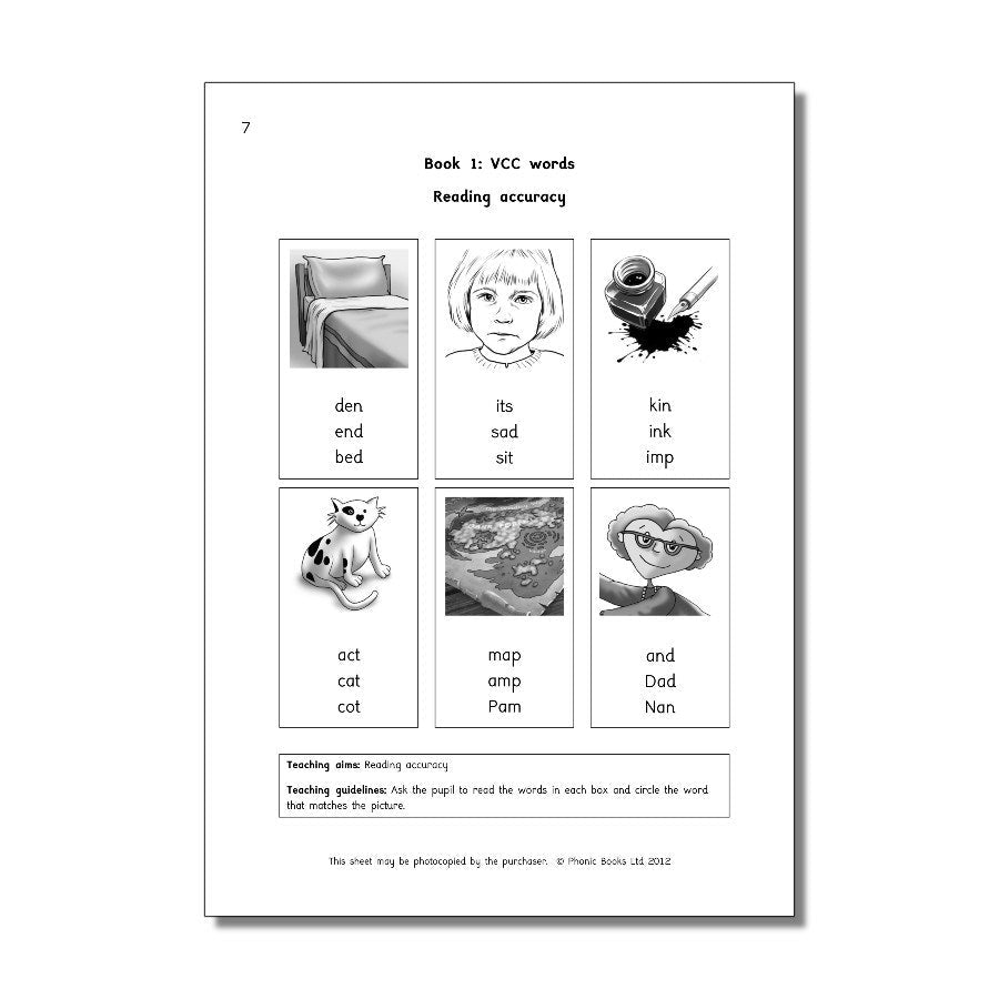 Dandelion Magic Belt Series, Introductory Workbook - ABC School Supplies