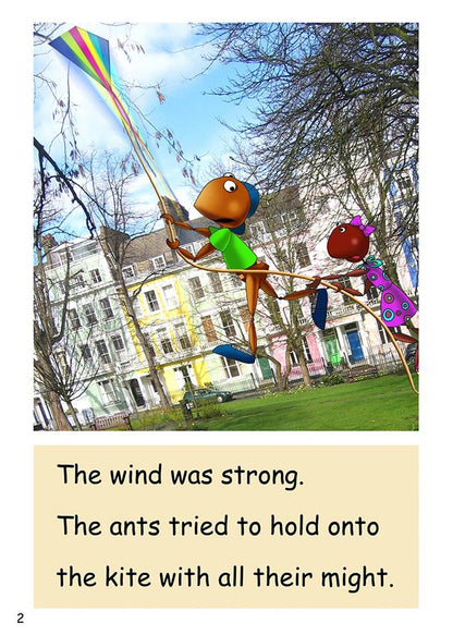 Dandelion Readers Pack 8 Level 3 (14 Titles)