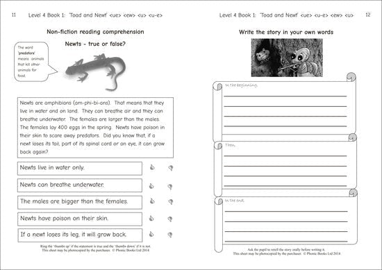 Dandelion Readers, Level 4 Reading & Spelling Activities - ABC School Supplies