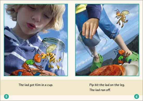Dandelion Readers, Set 1 Units 1 - 10 (10 Titles) - 6 Pack - ABC School Supplies