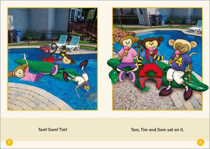 Dandelion Readers Set 4 Units 1 - 10 - ABC School Supplies