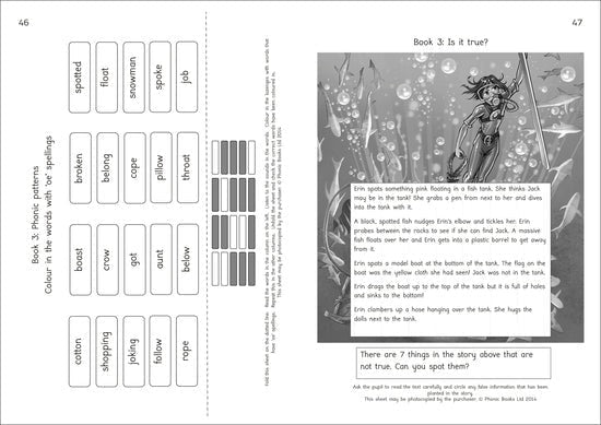 Dandelion Rescue Series, Workbook - ABC School Supplies