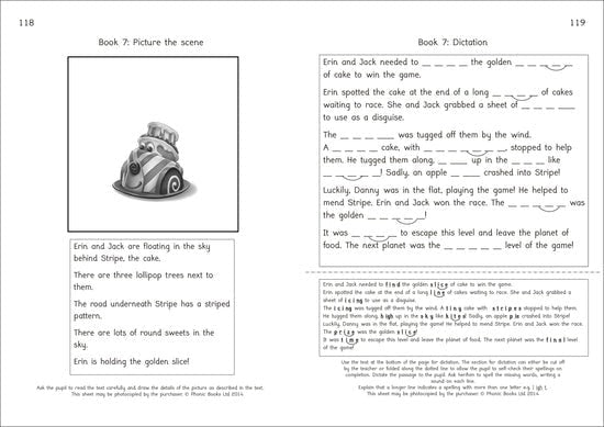 Dandelion Rescue Series, Workbook - ABC School Supplies