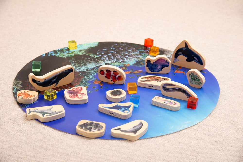 Discovery Sea Bundle - ABC School Supplies