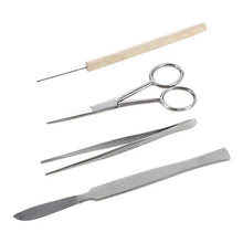 Dissection Tools - Value Bundle - ABC School Supplies