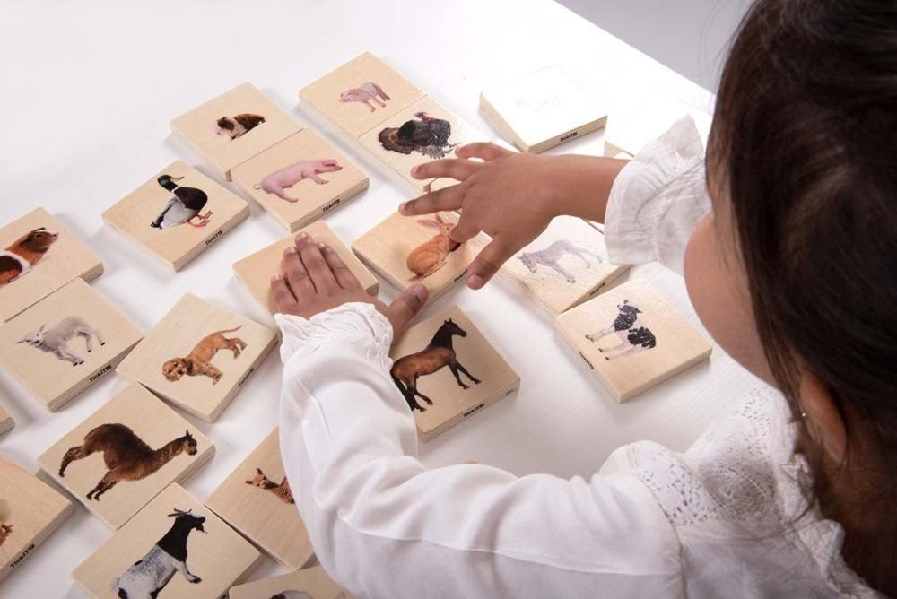 Domestic Animal Family Match - ABC School Supplies