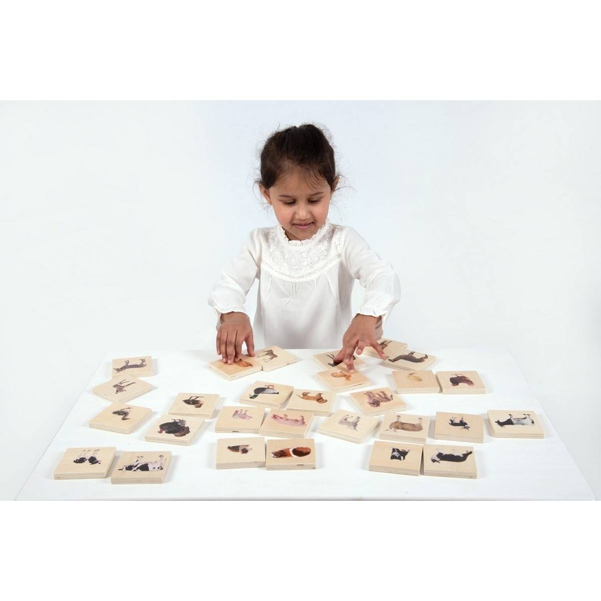 Domestic Animal Family Match - ABC School Supplies