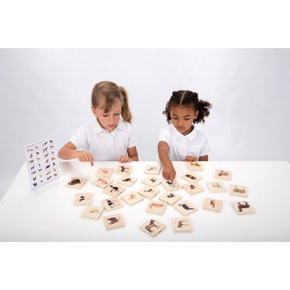 Domestic Animal Family Match - ABC School Supplies
