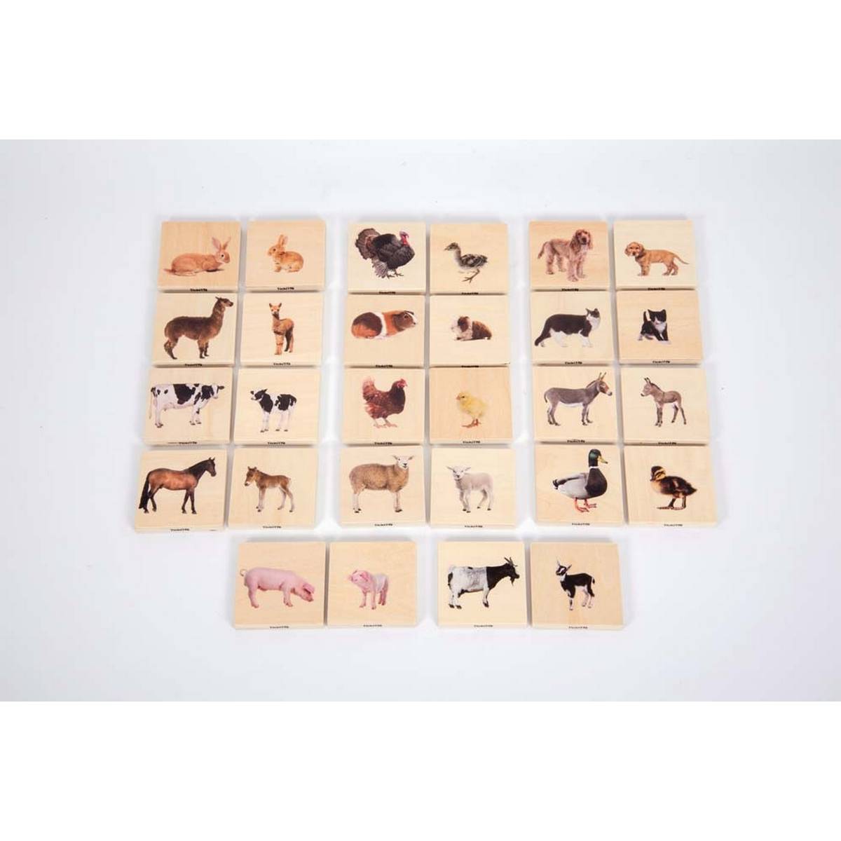 Domestic Animal Family Match - ABC School Supplies
