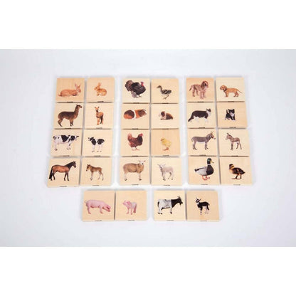 Domestic Animal Family Match - ABC School Supplies