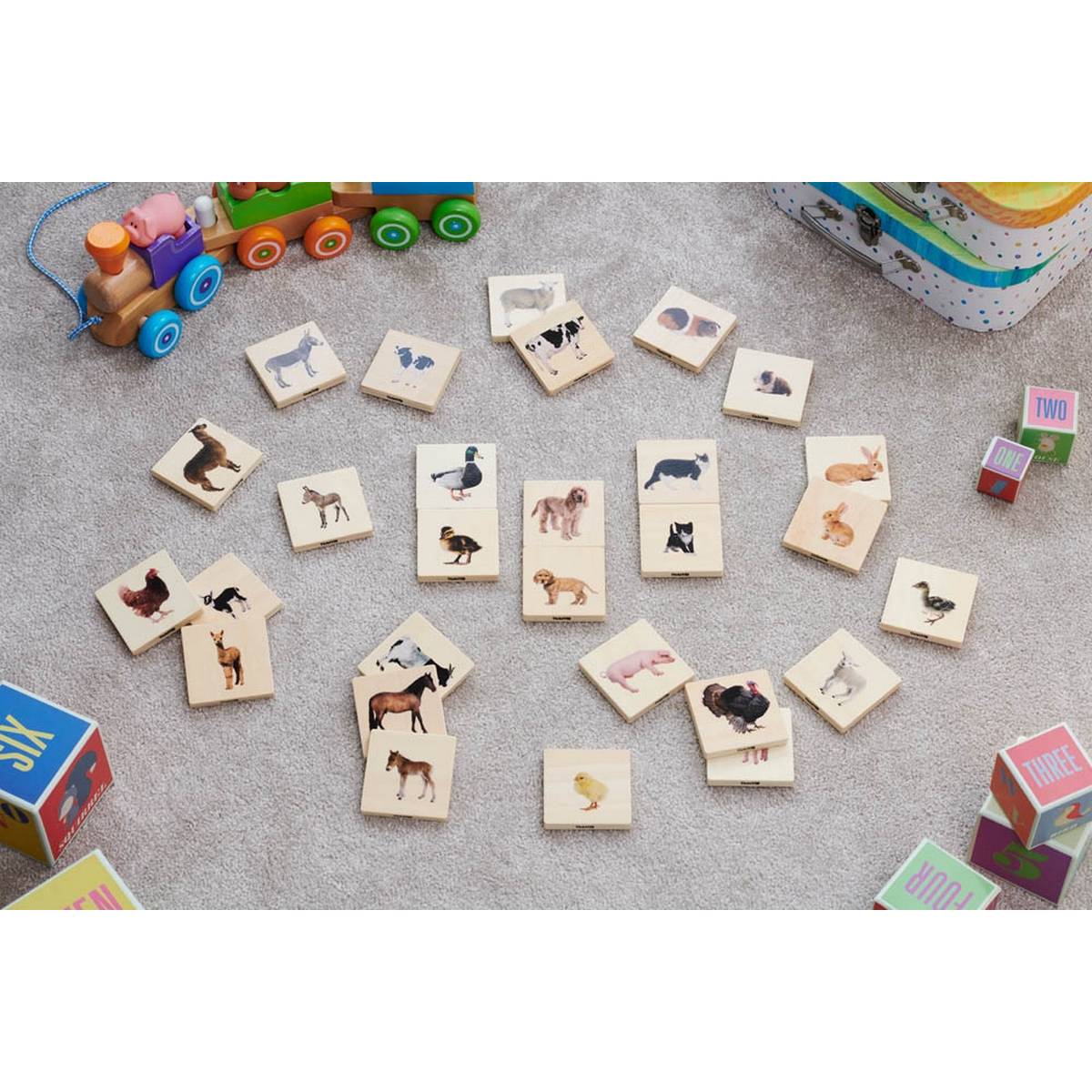 Domestic Animal Family Match - ABC School Supplies