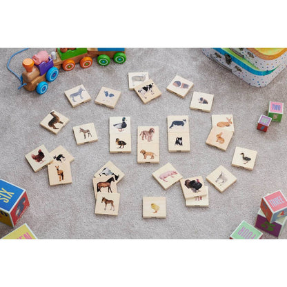 Domestic Animal Family Match - ABC School Supplies