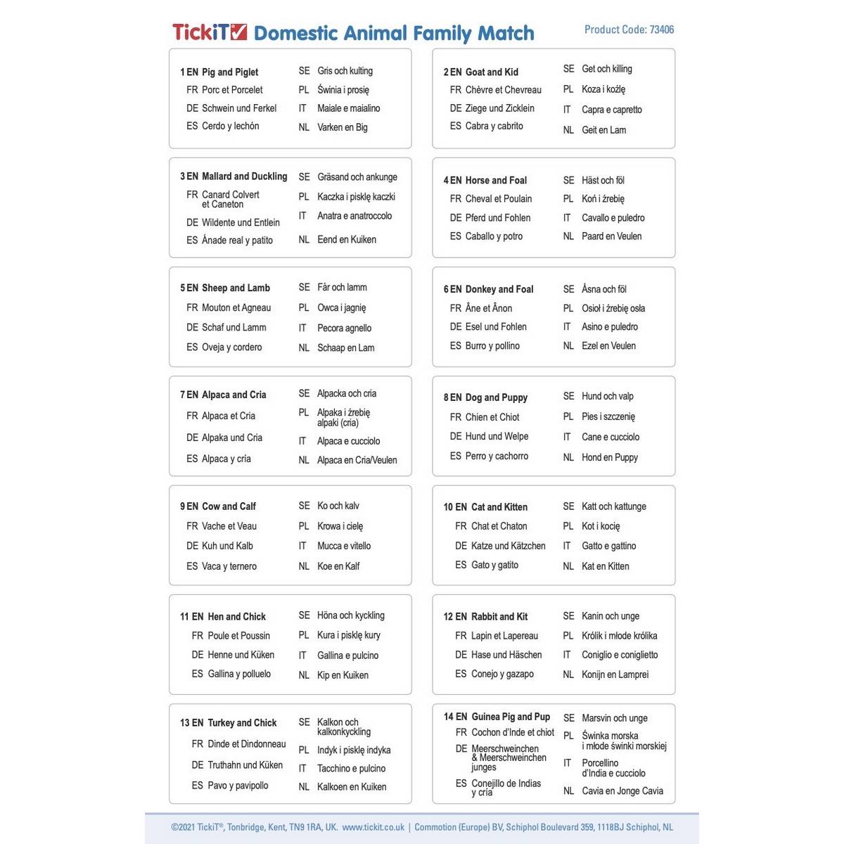 Domestic Animal Family Match - ABC School Supplies