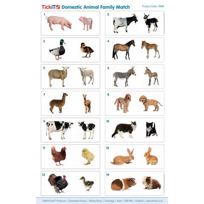 Domestic Animal Family Match - ABC School Supplies