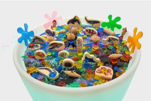 Discovery Sea Bundle