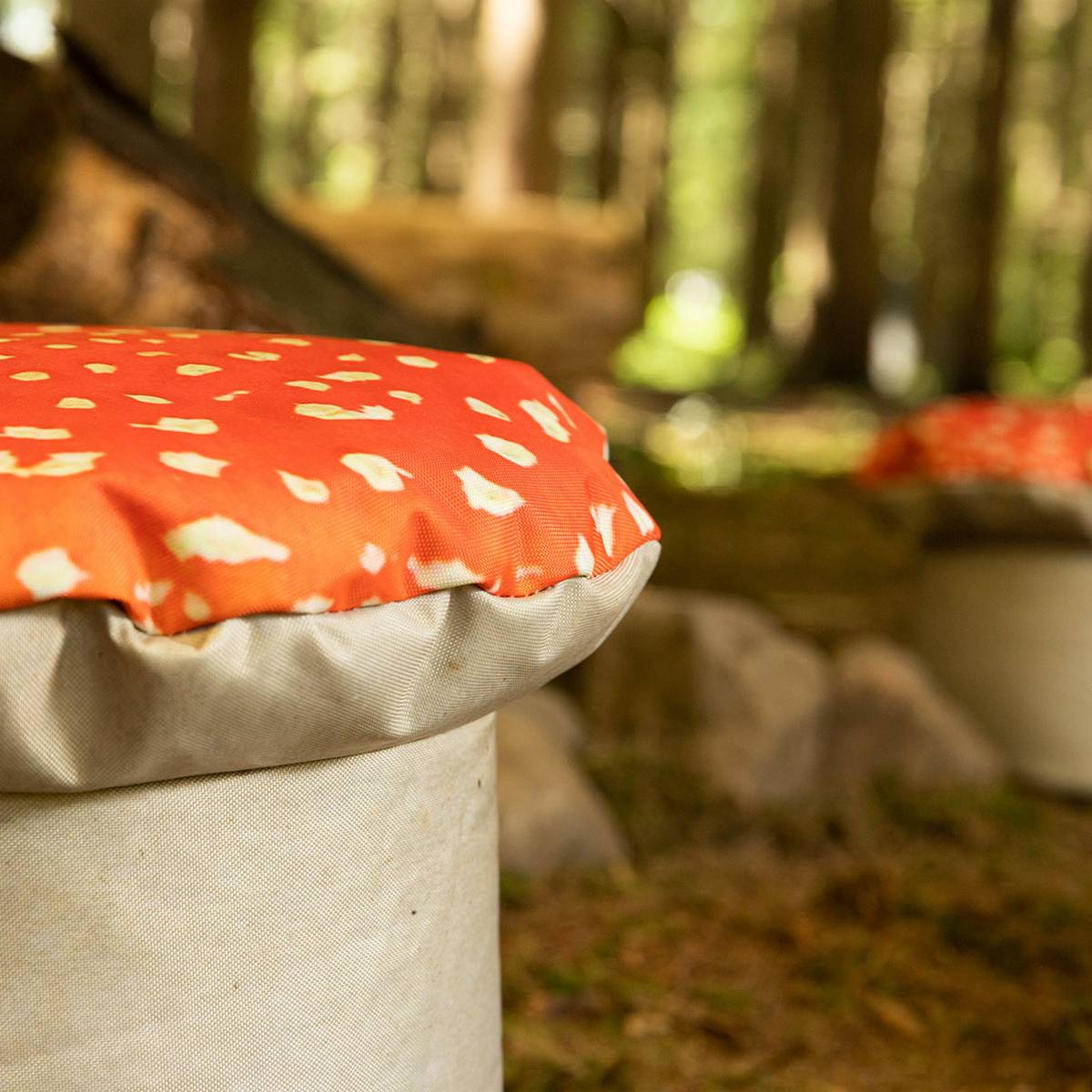 Eden Learning Toadstools (2 Pack, Large) - ABC School Supplies