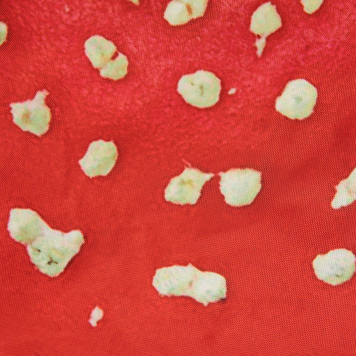 Eden Learning Toadstools (2 Pack, Large) - ABC School Supplies