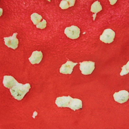 Eden Learning Toadstools (2 Pack, Large) - ABC School Supplies