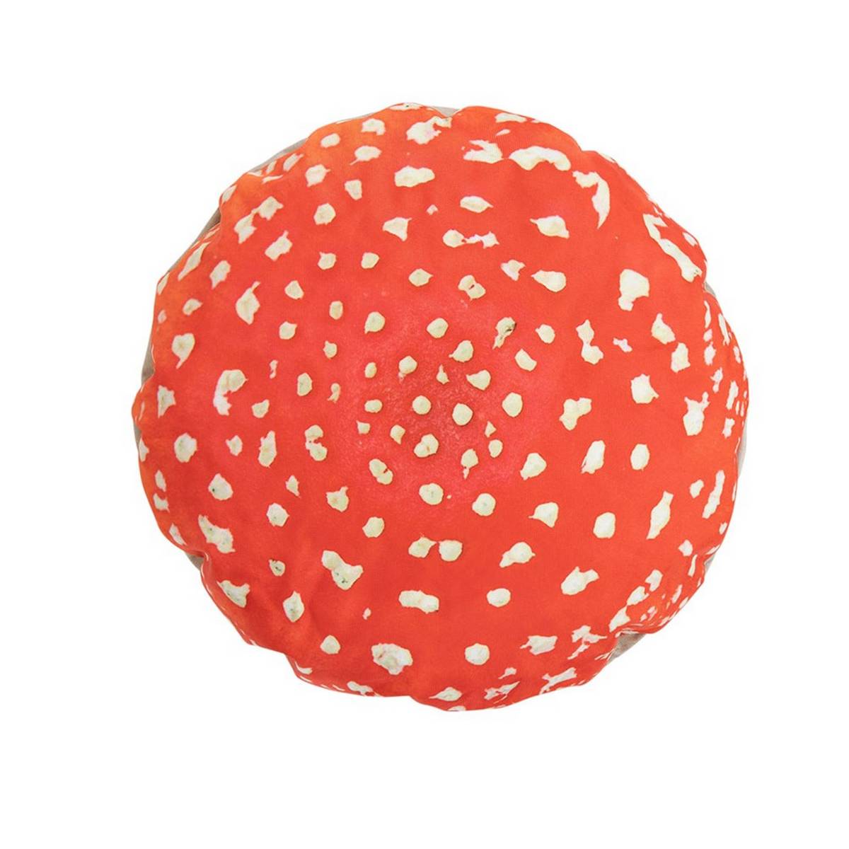 Eden Learning Toadstools (3 Pack) - ABC School Supplies