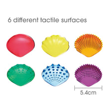 **Translucent Sensory Shells - 48 pack