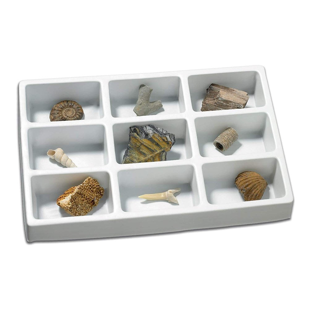 **Learning Resources Fossils Collection