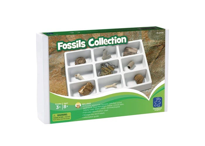 **Learning Resources Fossils Collection