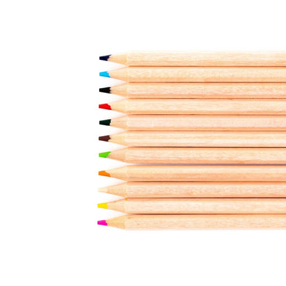Everyday Assorted Colouring Pencils Pack Of 288 - ABC School Supplies