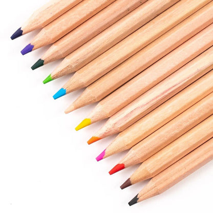 Everyday Assorted Colouring Pencils Pack Of 288 - ABC School Supplies