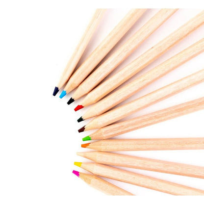 Everyday Colouring Pencils Pack Of 144 - ABC School Supplies
