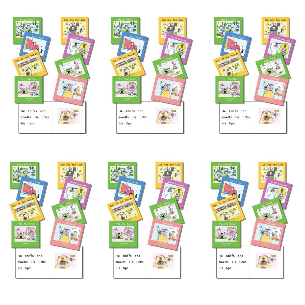 Express Decodable Readers Set 2 Supplemental Set - 6 Pack (48 Titles) - ABC School Supplies