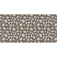 Fadeless Display Rolls 1.2m x 3.7m Rock Wall - ABC School Supplies