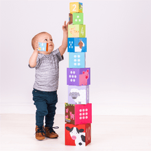 Farmyard Stacking Cubes - ABC School Supplies