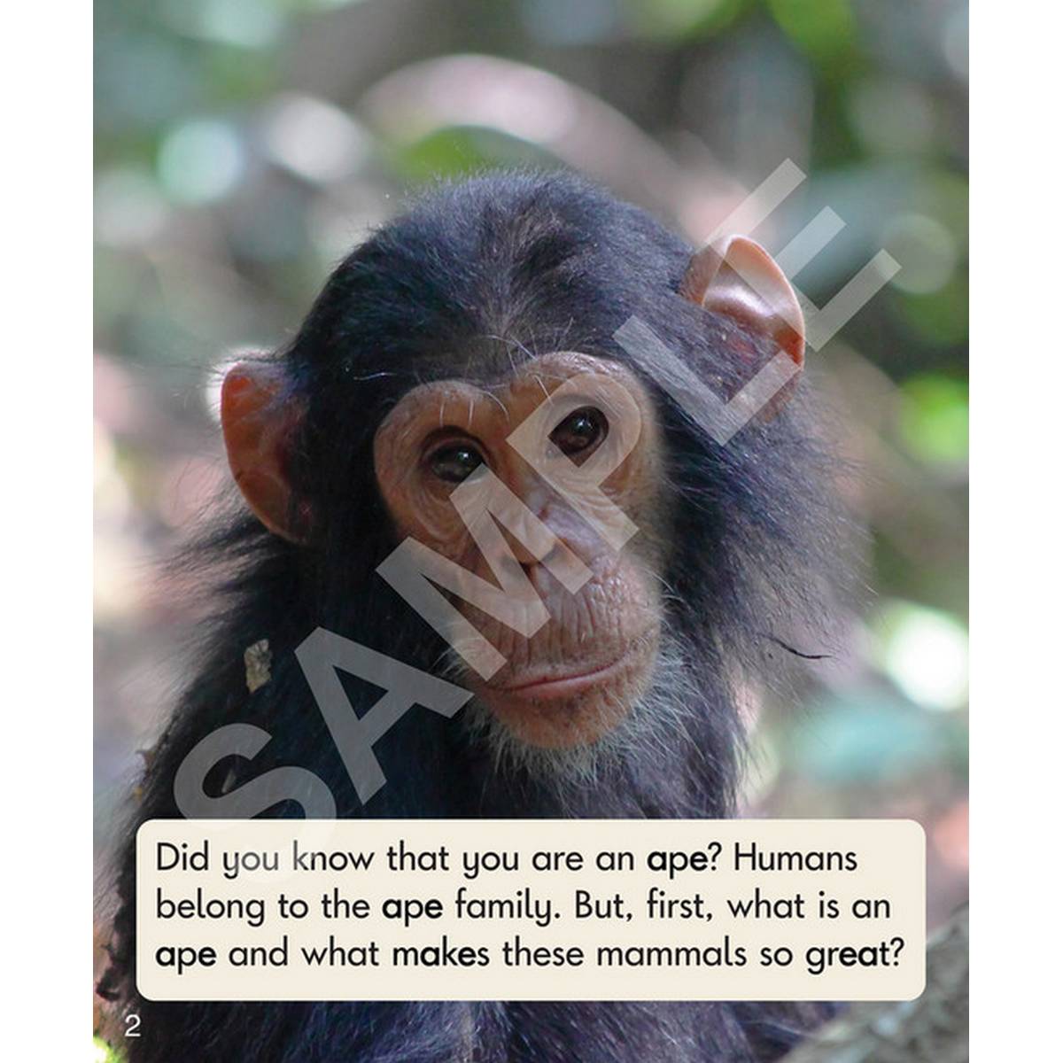 Sound Families Long Vowels Non-Fiction Phase 5.5 - 6 Pack