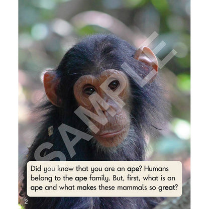 Sound Families Long Vowels Non-Fiction Phase 5.5 - 6 Pack