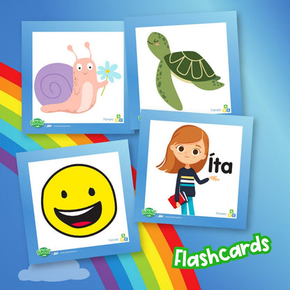 Fónaic le Fís A Classroom Kit - ABC School Supplies