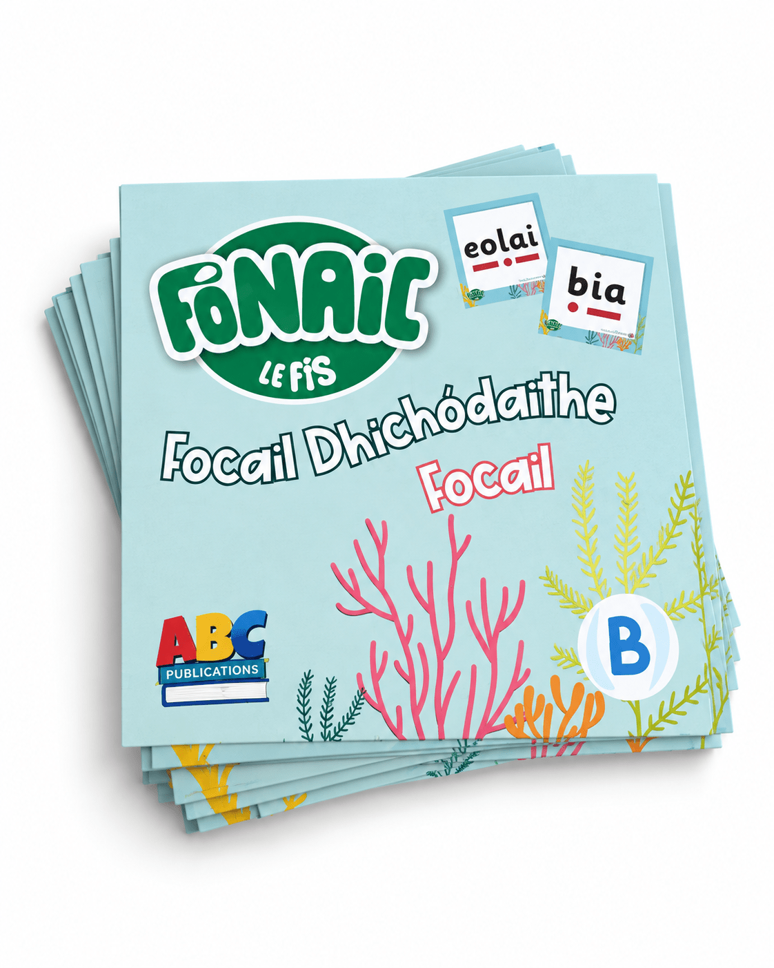 Fónaic le Fís B - Focail Dhíchódaithe Focail Set Of 91 - ABC School Supplies