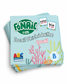 Fónaic le Fís B - Focail Dhíchódaithe Focail Set Of 91 - ABC School Supplies