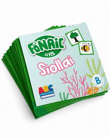 Fónaic le Fís B Siolla­ Flashcards Set Of 41 - ABC School Supplies