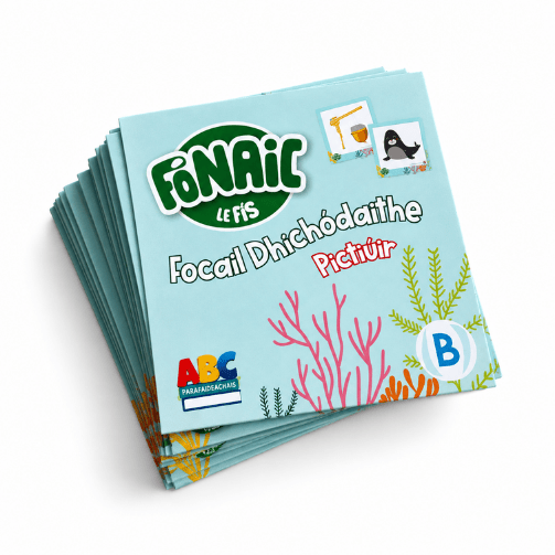 Fónaic le Fís Focail Dhíchódaithe Pictiúir Set Of 90 - ABC School Supplies