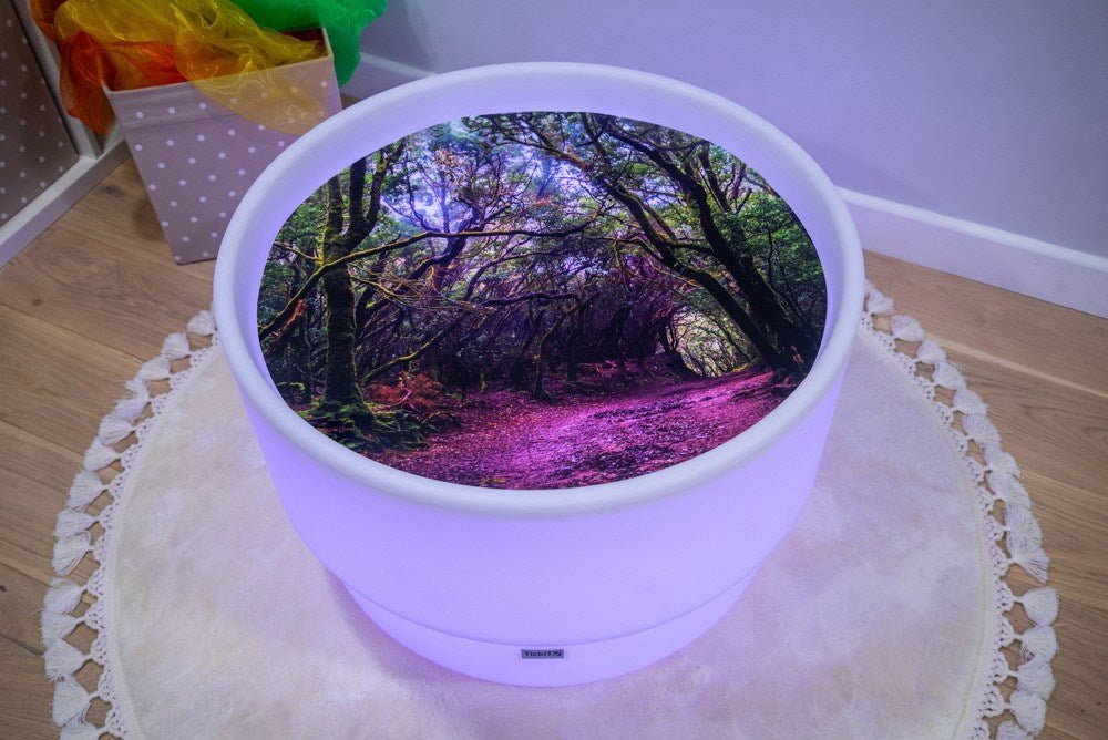 Forest Discovery Play Mat - ABC School Supplies