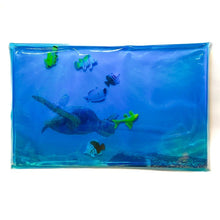 Gelly Fishy Aquarium - ABC School Supplies